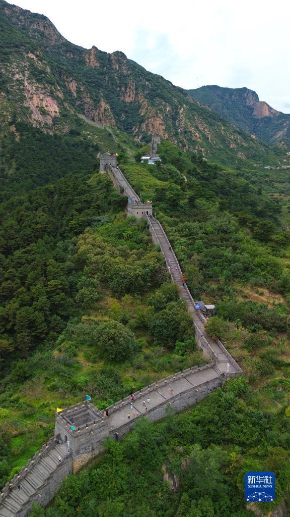 永利手机在线